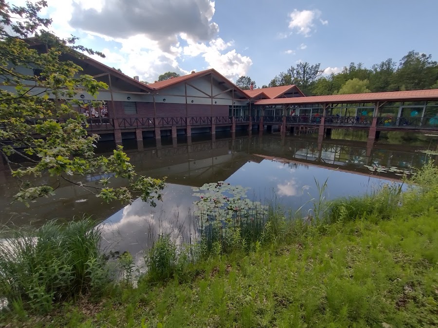 Basen dla małych dzieci ("brodzik")